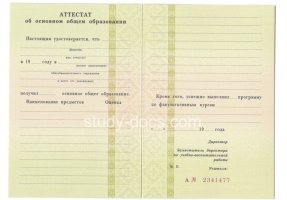 Аттестат за 9 класс 1995-2006 в Воронеже