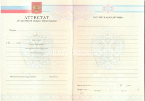 Аттестат за 9 класс 2007-2010 в Воронеже