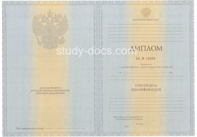 Диплом специалиста 2012-2013 в Воронеже